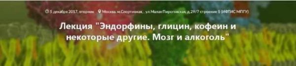 [Архэ] Эндорфины, глицин, кофеин и некоторые другие. Мозг и алкоголь (транскрибация + видео) (Вячеслав Дубынин)