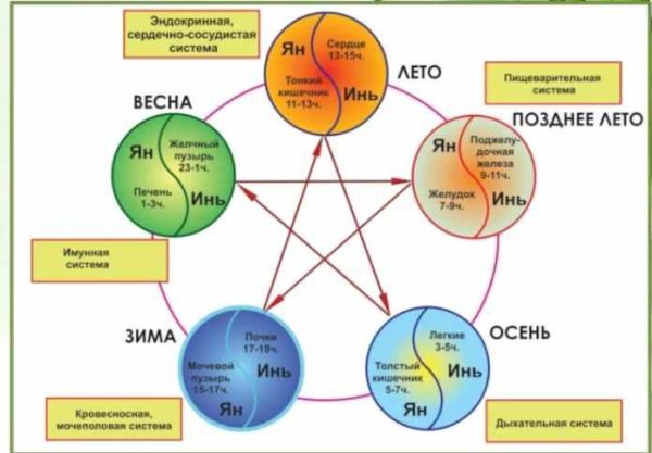 Практикум Как скорректировать Здоровье по Бацзы и У-СИН (Оксана Лысикова)